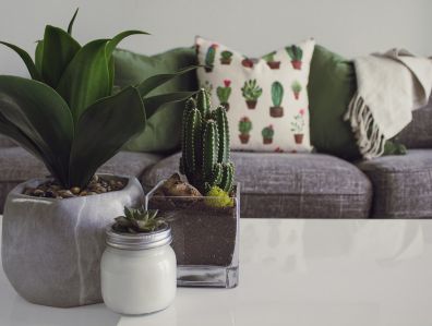 Decorate Your Space Individually With Wayfair's Collection of Home Goods