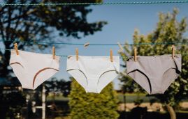 Saalt Best Wear Comfort Collection For Every Women Need