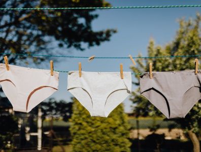 Saalt Best Wear Comfort Collection For Every Women Need