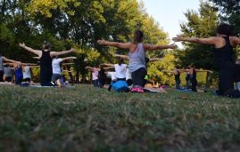 Learn Fundamentals Of Yoga at ISSA US
